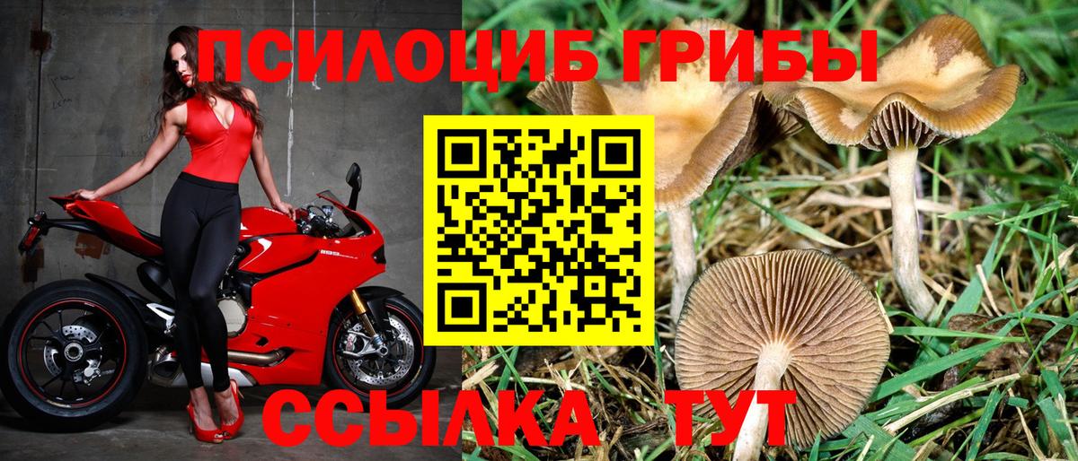 Псилоцибиновые грибы мухоморы Сердобск